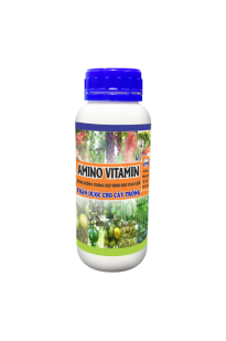 AMINO VITAMIN