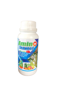 AMINO SEAWEED