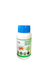 PHÓNG ĐỌT-ĐÂM TƯỢT-MẬP THÂN