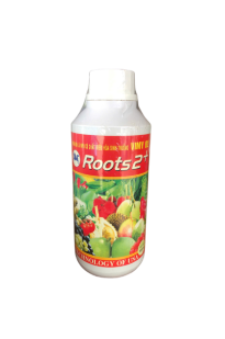 ROOT