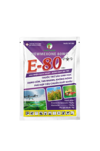 E-80