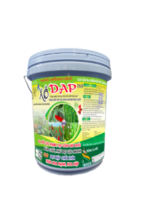 XÔ DAP