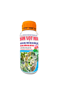 SÂM VỌT HOA